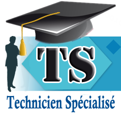 formation professionnelle, Technicien spécialisé